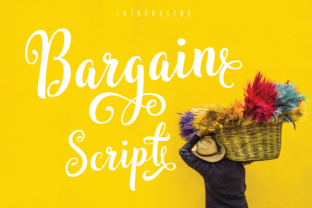 Bargain Script Typeface for Modern Web Design