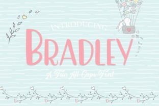 Bradley: A Fun All Caps Sans Serif Font for Handmade Brands
