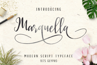 Marquella: The Elegant Script Font for Sophisticated Brand Identity