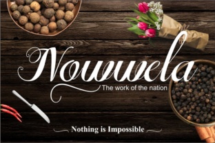 Nowwela: A Modern Script Font for Luxurious Editorial Campaigns
